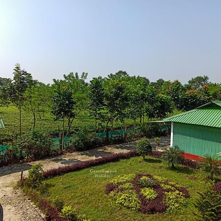 Grasshopper Jungle Queen Resort Chālsa 外观 照片