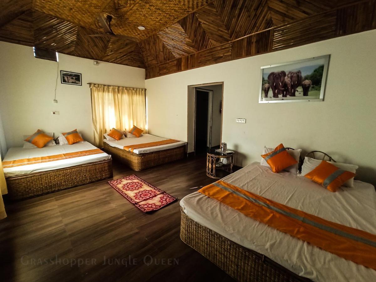 Grasshopper Jungle Queen Resort Chālsa 外观 照片