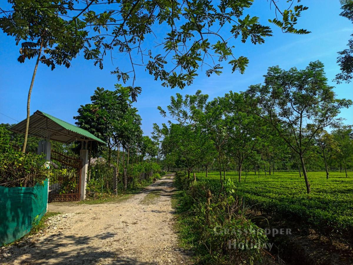 Grasshopper Jungle Queen Resort Chālsa 外观 照片