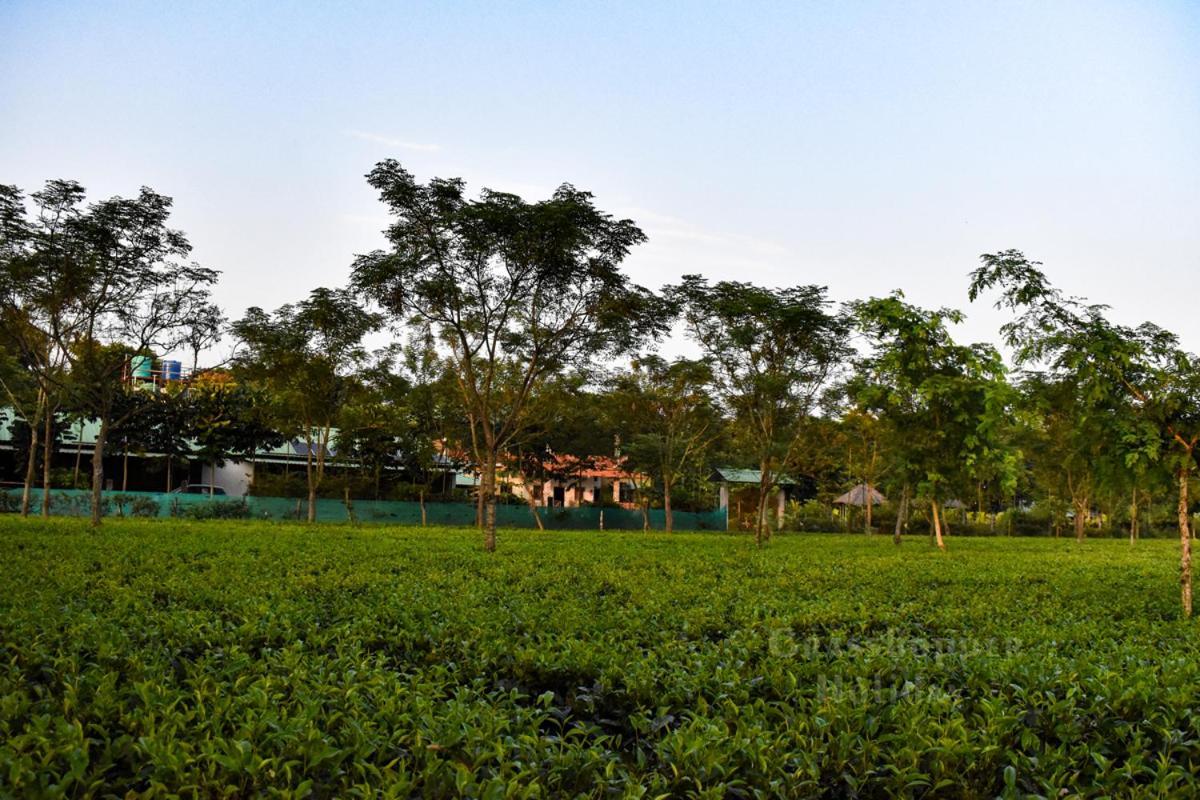 Grasshopper Jungle Queen Resort Chālsa 外观 照片