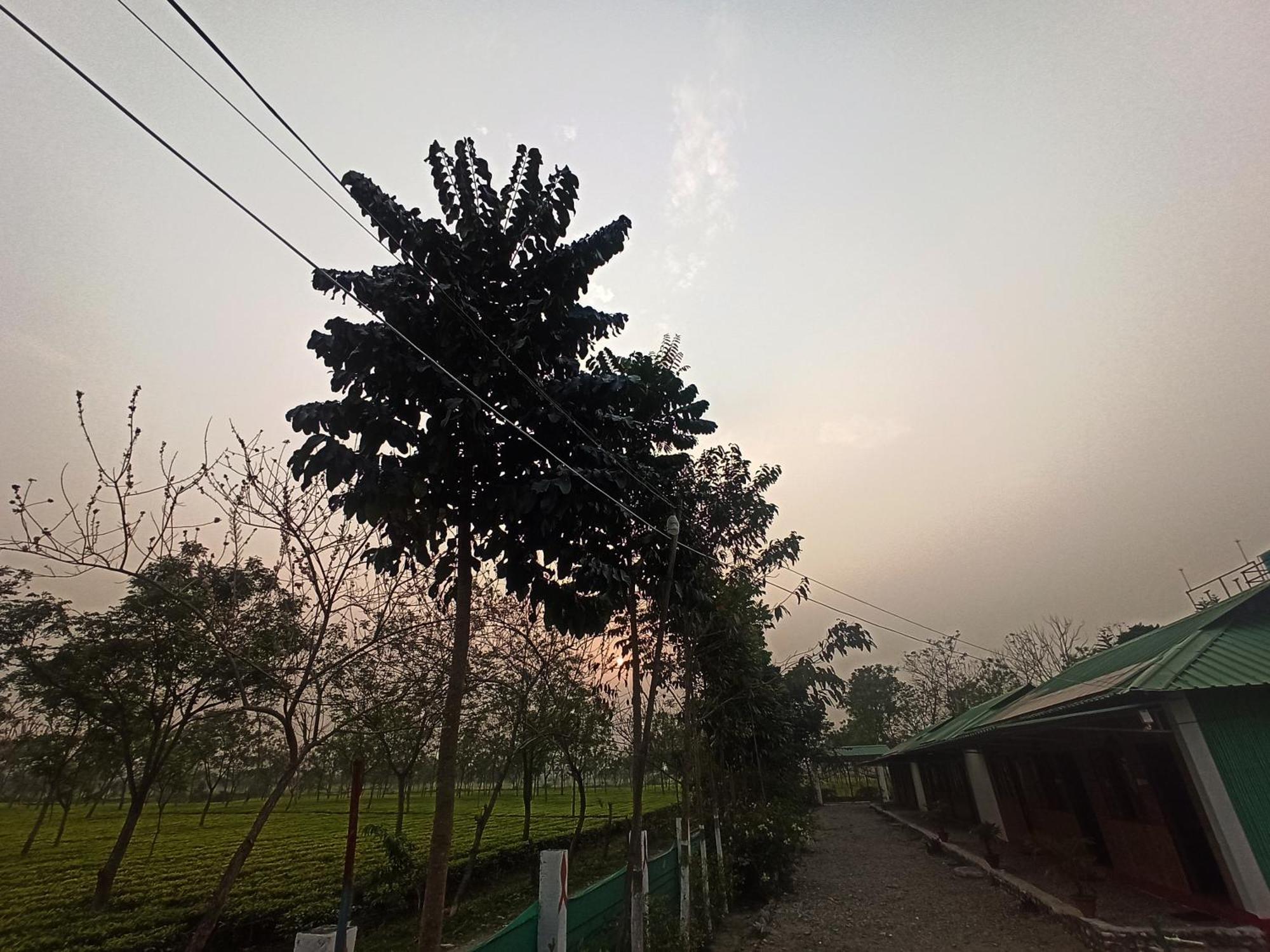Grasshopper Jungle Queen Resort Chālsa 外观 照片