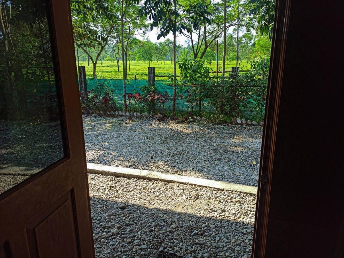 Grasshopper Jungle Queen Resort Chālsa 外观 照片