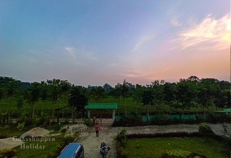 Grasshopper Jungle Queen Resort Chālsa 外观 照片