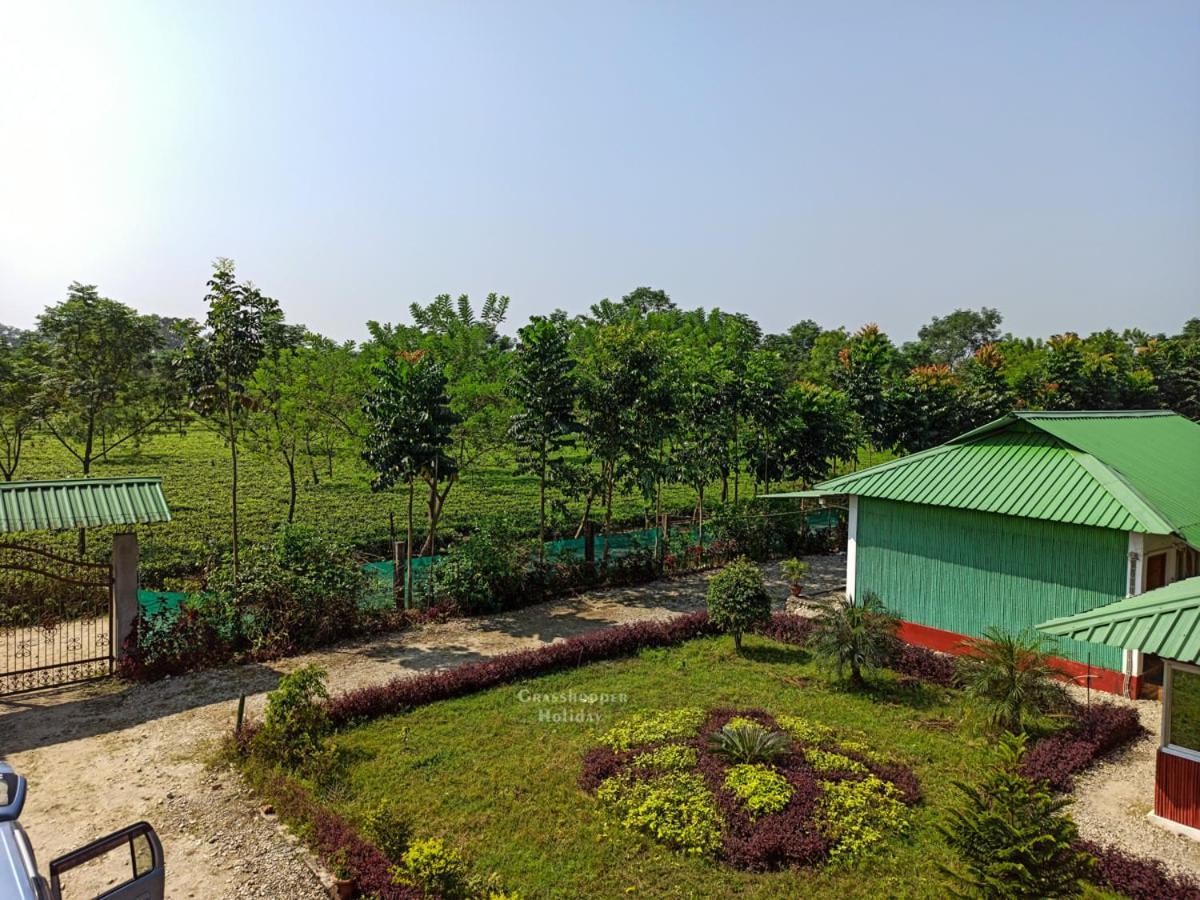 Grasshopper Jungle Queen Resort Chālsa 外观 照片