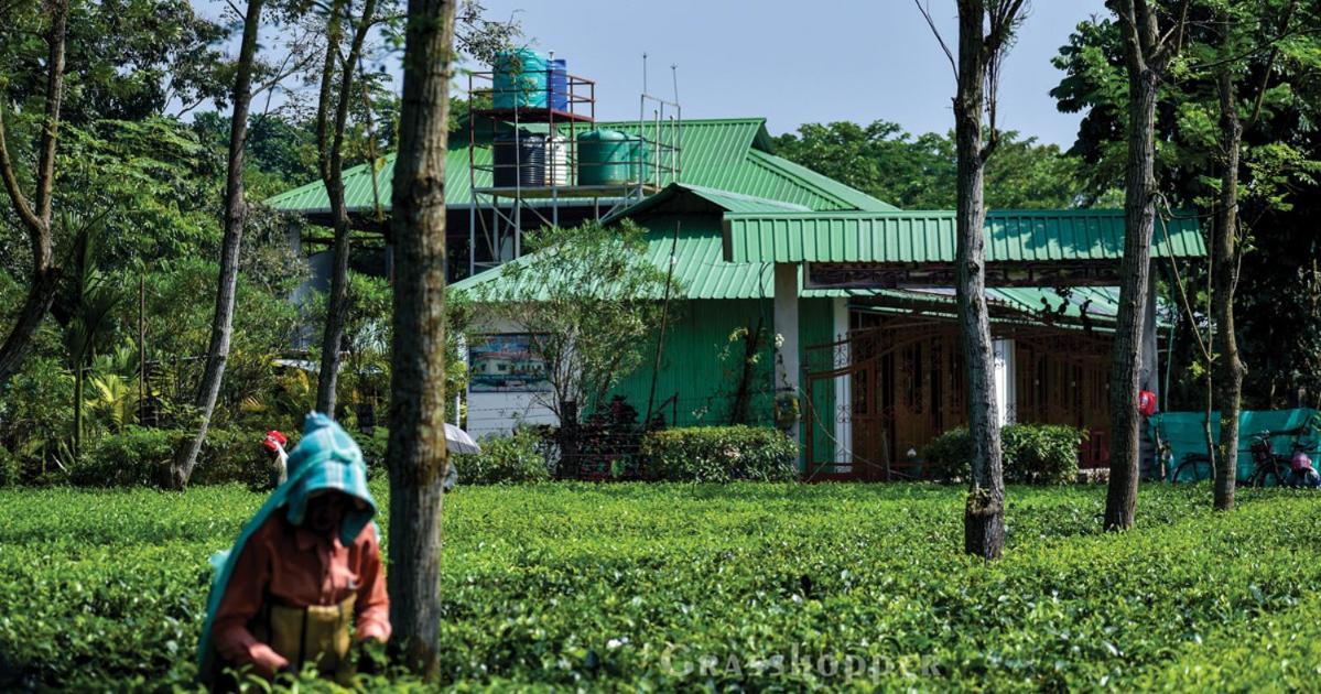 Grasshopper Jungle Queen Resort Chālsa 外观 照片